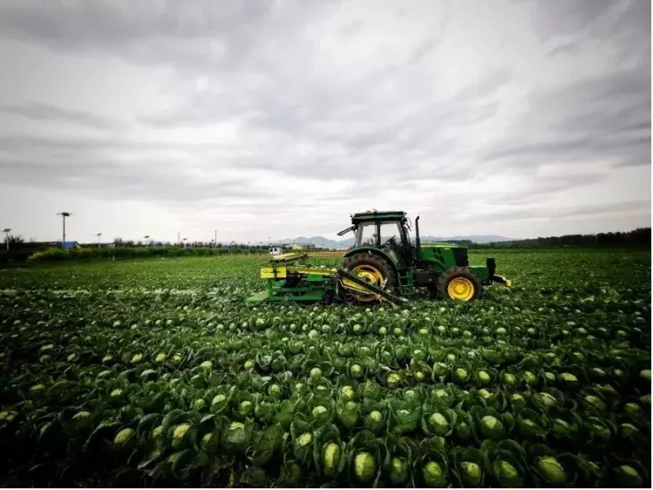 17.webp.jpg 17.webp.jpg